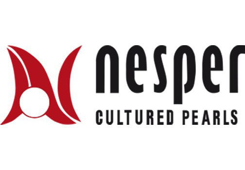 Heinz-Nesper-GmbH